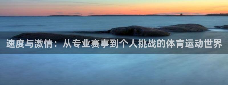 杏鑫零能源集团：速度与激情：从专业赛事到个人挑战的体育运动世界