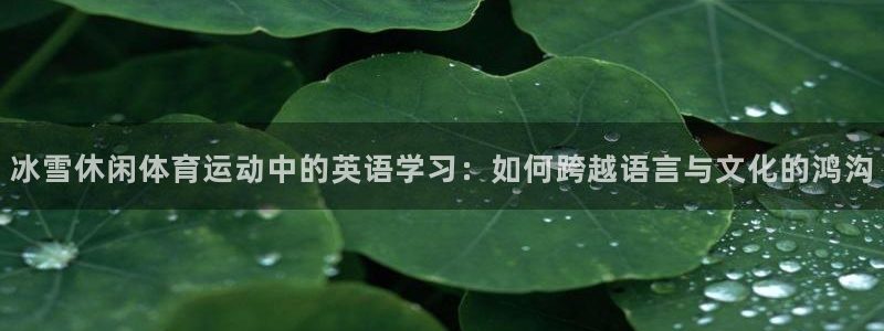 杏鑫体育官网注册：冰雪休闲体育运动中的英语学习：如何跨越语言与文化的鸿沟