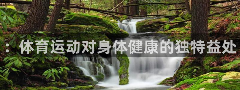 杏鑫vk：：体育运动对身体健康的独特益处