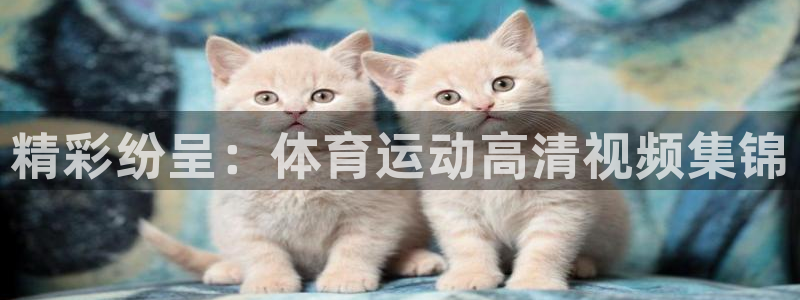 杏鑫体育eon：精彩纷呈：体育运动高清视频集锦