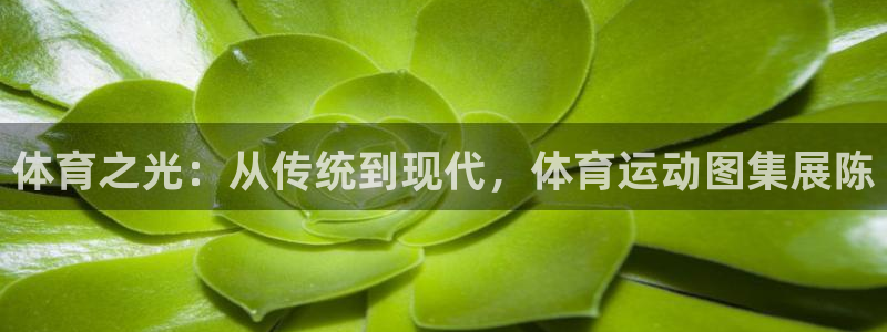 杏鑫2注册：体育之光：从传统到现代，体育运动图集展陈