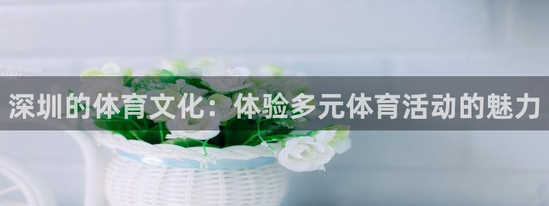 杏鑫：深圳的体育文化：体验多元体育活动的魅力