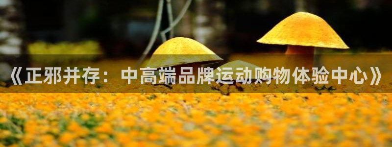杏鑫代理：《正邪并存：中高端品牌运动购物体验中心》