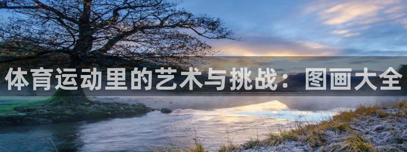 杏鑫体育1招商：体育运动里的艺术与挑战：图画大全