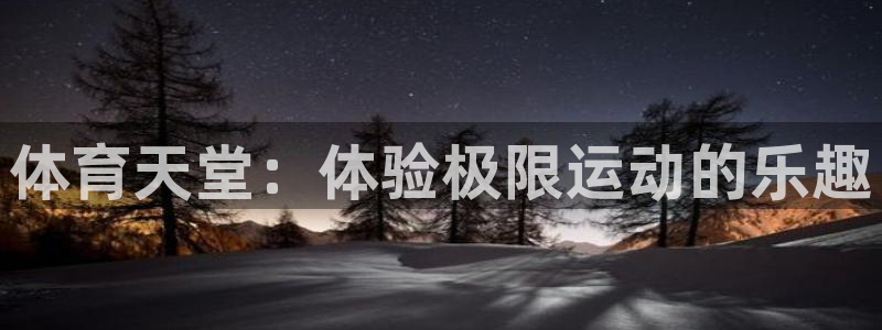 杏鑫体育凯捷登陆：体育天堂：体验极限运动的乐趣