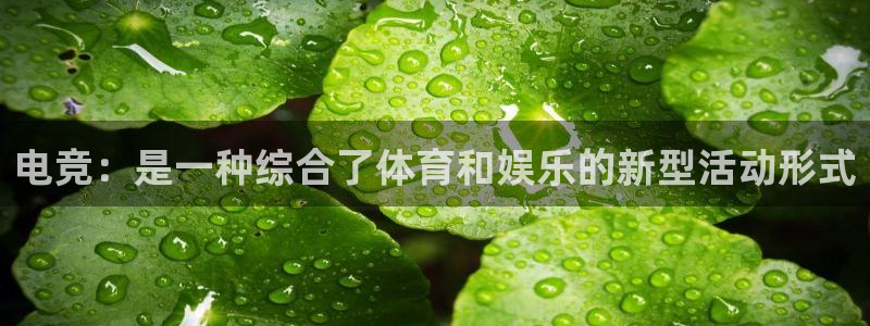 杏鑫体育凯捷登陆：电竞：是一种综合了体育和娱乐的新型活动形式