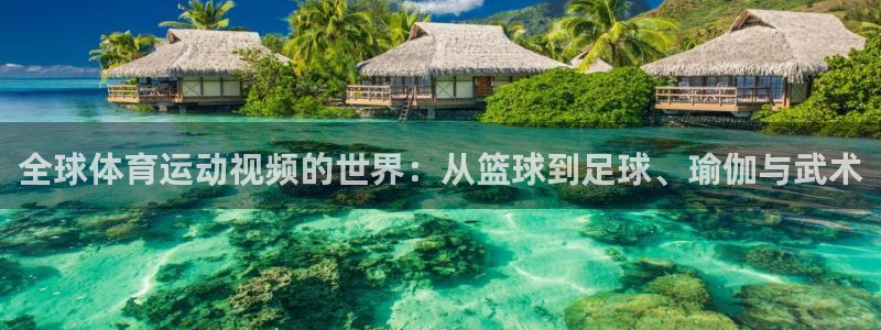 杏鑫2登录入口：全球体育运动视频的世界：从篮球到足球、瑜伽与武术