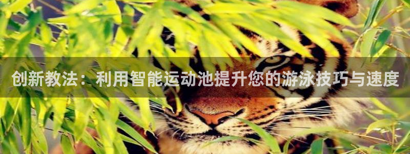 杏鑫官网注册：创新教法：利用智能运动池提升您的游泳技巧与速度