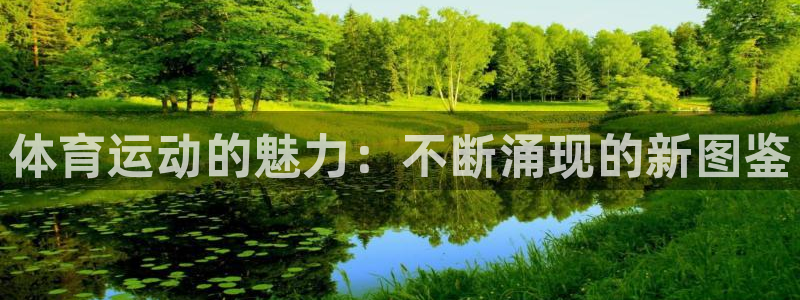 杏鑫3官网登录：体育运动的魅力：不断涌现的新图鉴