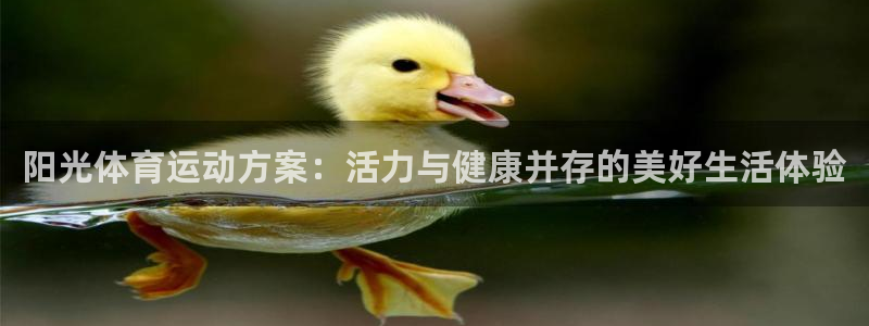 杏鑫体育用品：阳光体育运动方案：活力与健康并存的美好生活体验