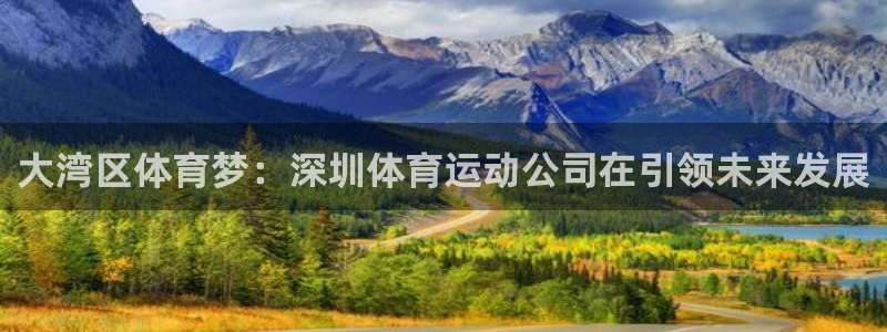 杏鑫平台招商：大湾区体育梦：深圳体育运动公司在引领未来发展