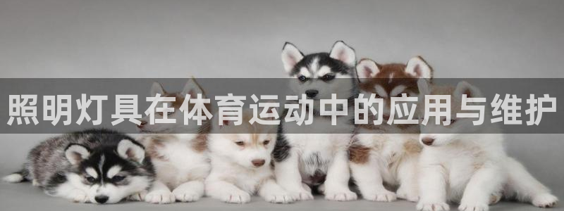 杏鑫体育app下载：照明灯具在体育运动中的应用与维护