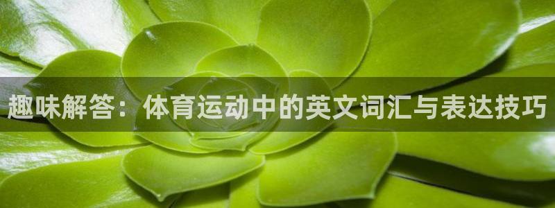 杏鑫3平台注册：趣味解答：体育运动中的英文词汇与表达技巧