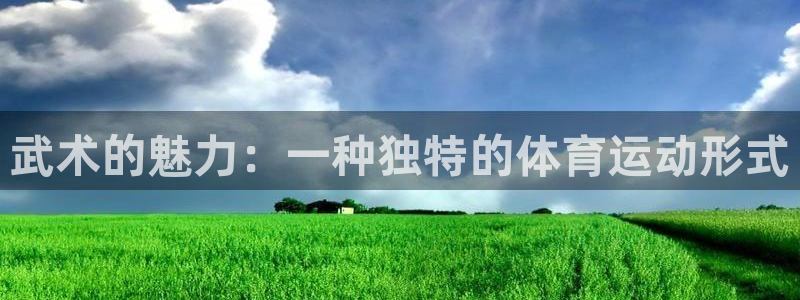 杏鑫体育3在线注册：武术的魅力：一种独特的体育运动形式