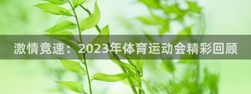 杏鑫2平台注册：激情竞速：2023年体育运动会精彩回顾