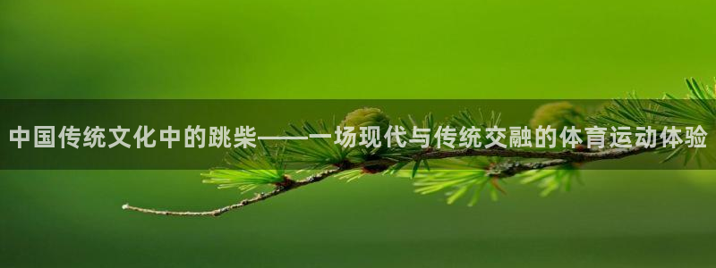 杏鑫体育官网入口登录：中国传统文化中的跳柴——一场现代与传统交融的体育运动体验