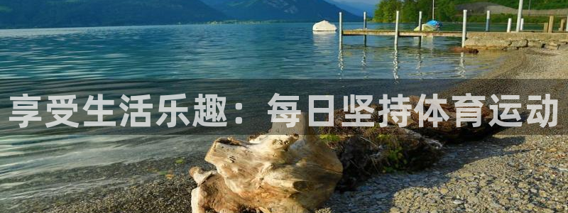 杏鑫招商：享受生活乐趣：每日坚持体育运动