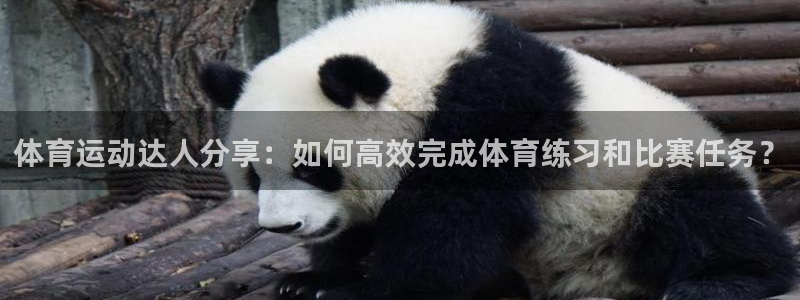 杏鑫体育热门赛事有哪些：体育运动达人分享：如何高效完成体育练习和比赛任务？