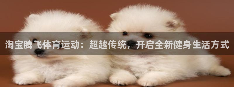 杏鑫体育代理：淘宝腾飞体育运动：超越传统，开启全新健身生活方式