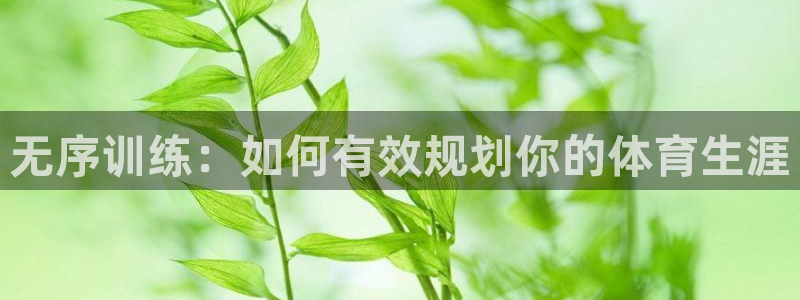 杏鑫4平台：无序训练：如何有效规划你的体育生涯