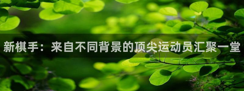 杏鑫凯捷平台注册链接：新棋手：来自不同背景的顶尖运动员汇聚一堂