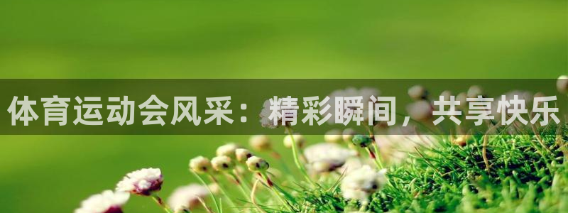 杏鑫体育官网入口登录：体育运动会风采：精彩瞬间，共享快乐