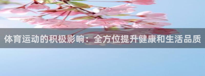 杏鑫招商：体育运动的积极影响：全方位提升健康和生活品质