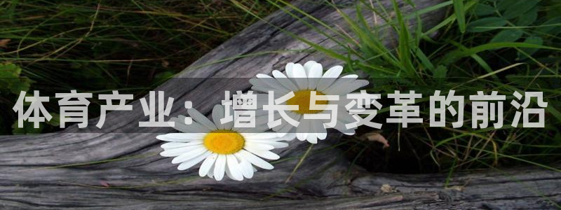 杏鑫3官网：体育产业：增长与变革的前沿