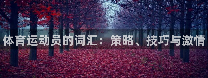 杏鑫凯捷注册：体育运动员的词汇：策略、技巧与激情