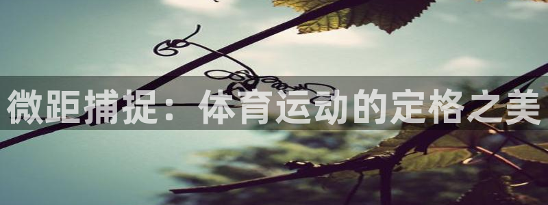 杏鑫代理注册官网入口：微距捕捉：体育运动的定格之美